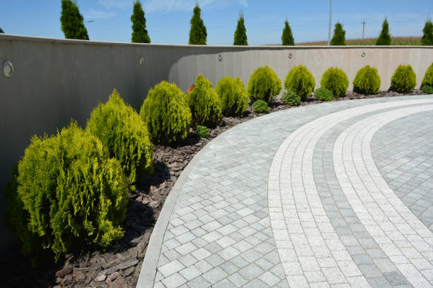 Best Best Driveway Pavers  in Southern View, IL